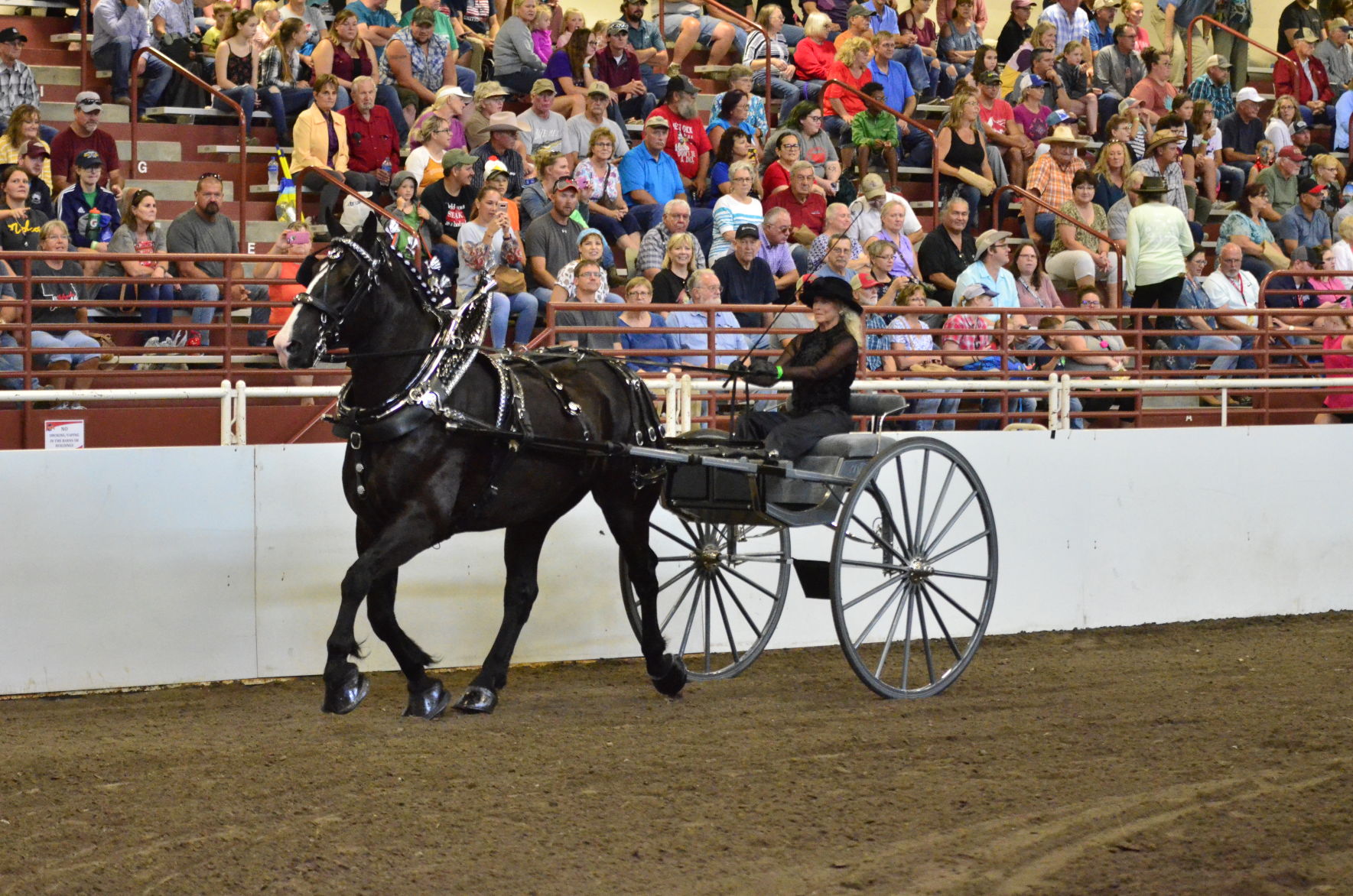 8-25-19 Draft Horse Hitch Final (30).JPG